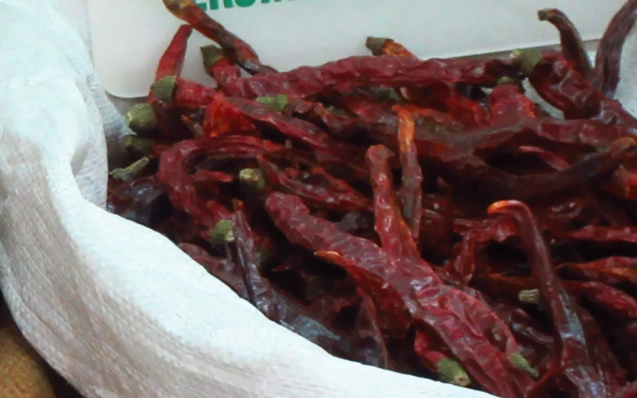 How we cure a pickle, the slow way